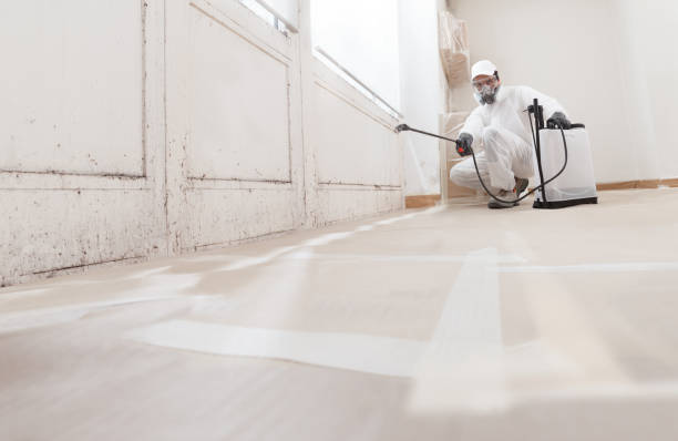 24/7 Emergency Black Mold Remediation experts in Millstone Township, NJ