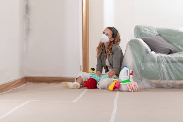 Reliable Black Mold Remediation contractor in Millstone Township, NJ by Car Mold Remediation